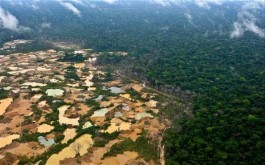 Gold-rush-in-the-Amazon-Illegal-goldmining-is-laying-waste-to-Madre-de-Dios-the-most-biodiverse-region-in-the-world-e1298849923201